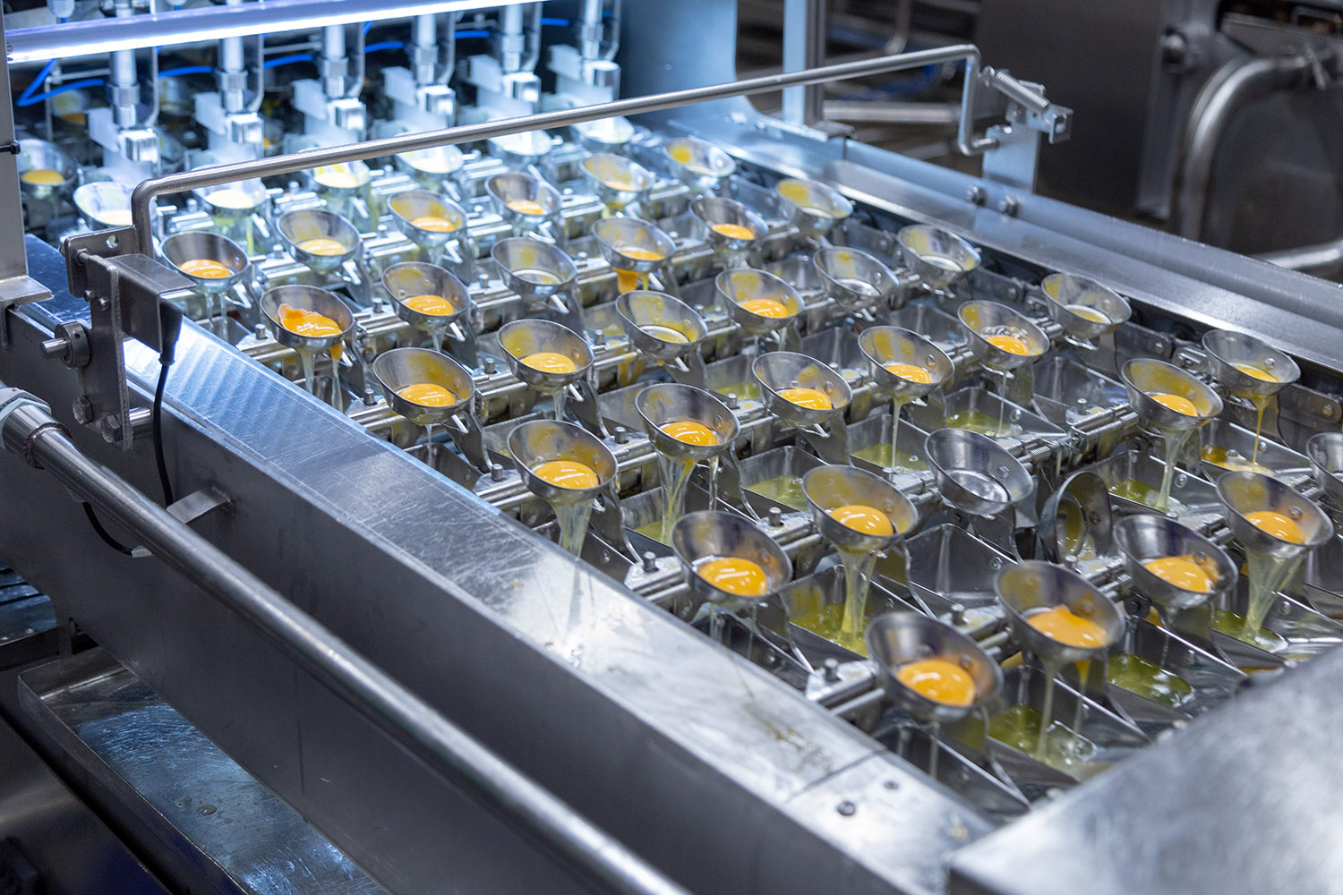 Baltic Egg Production Groward group